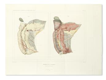 BERNARD, CLAUDE.  Mémoire sur le Pancréas et sur le Role du Suc Pancréatique dans les Phénomènes Digestifs.  1856